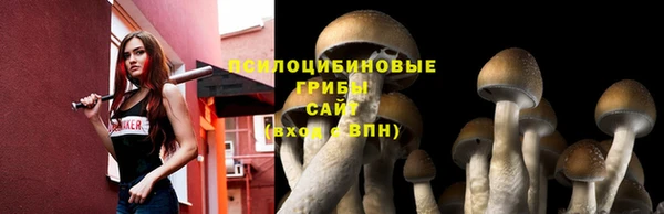 spice Балабаново