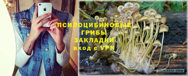 apvp Баксан