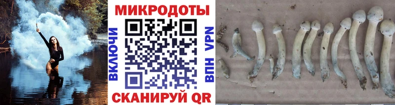 Псилоцибиновые грибы MAGIC MUSHROOMS  как найти закладки  KRAKEN зеркало  Калининец 